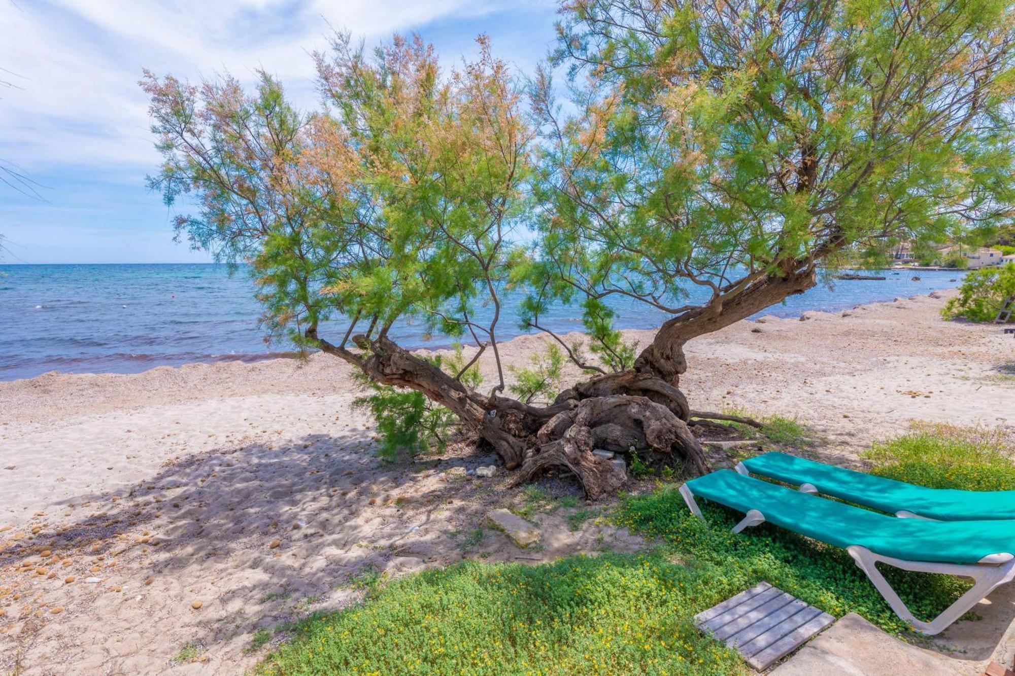 Cas Ferrerico Villa Costa De Los Pinos Buitenkant foto